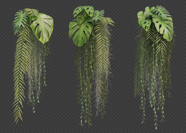 PSD 3d rendering of hanging plant collection