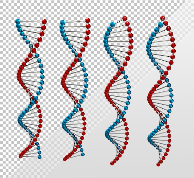 PSD 3d rendering of human cells dna perspective view