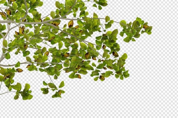 3d rendering of hydrangea tree