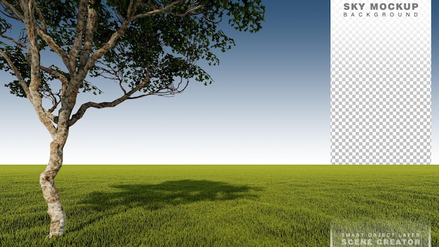 PSD un'immagine di rendering 3d di un grande campo di erba posizionato albero