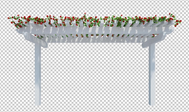 PSD 3d rendering of ivy plants isolated