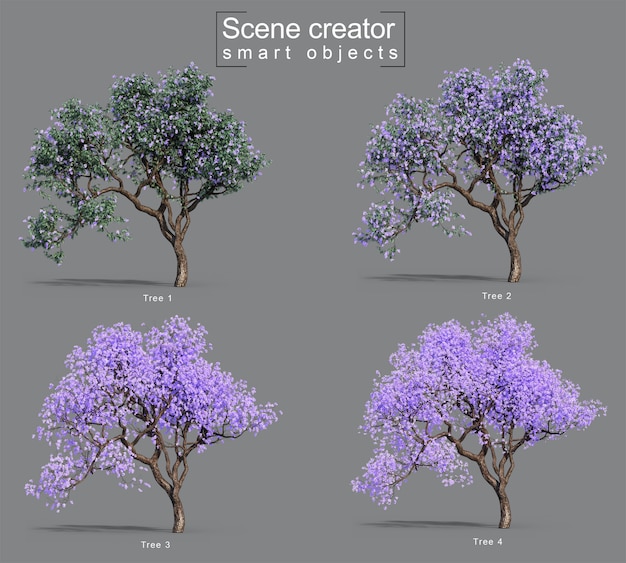 PSD rendering 3d di alberi di jacaranda mimosifolia