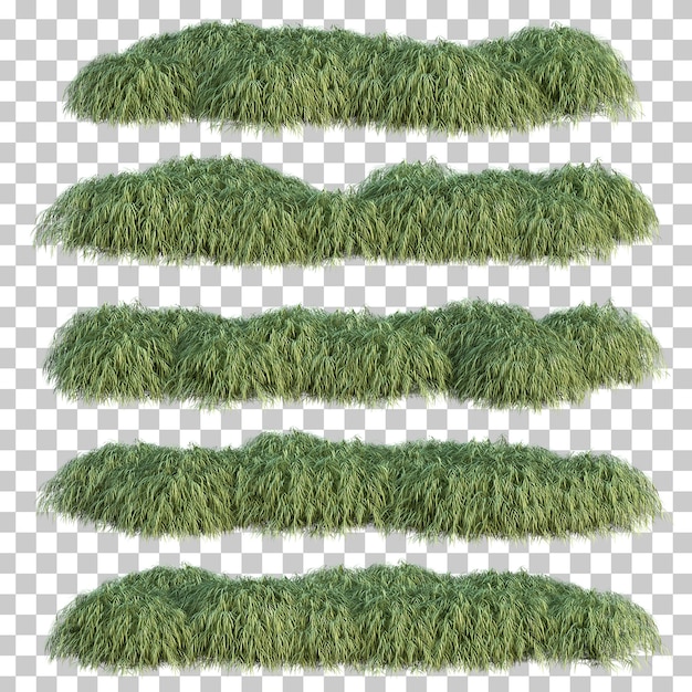 PSD 3d rendering of japanese forest grass