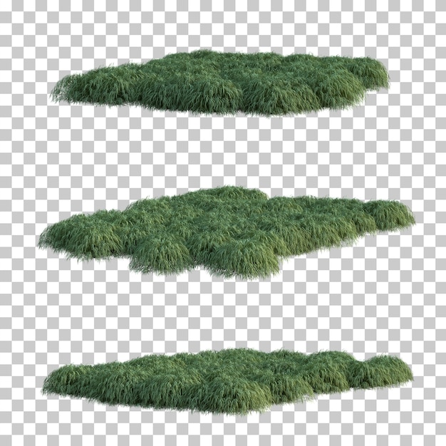 3d rendering of japanese forest grass