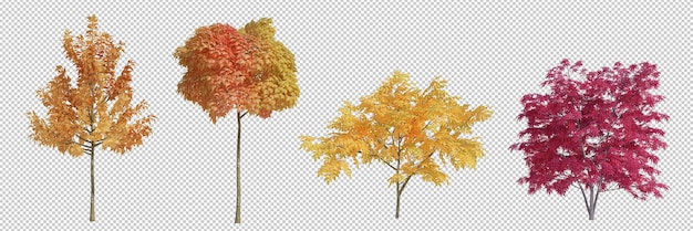 PSD 3d rendering jesienne drzewo izolowane cięcie tła