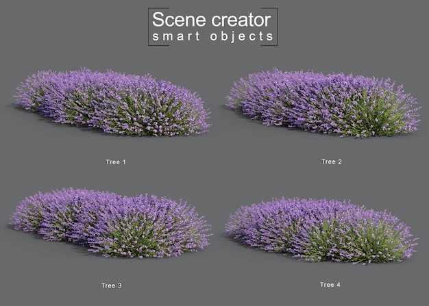 Rendering 3d del creatore di scene di albero di lavanda