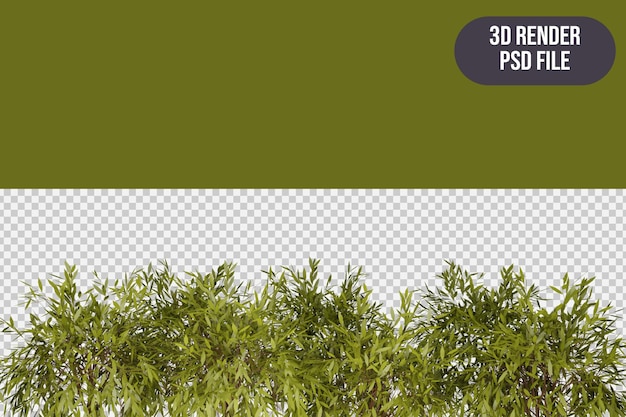 Disposizione delle foglie verde chiaro del rendering 3d