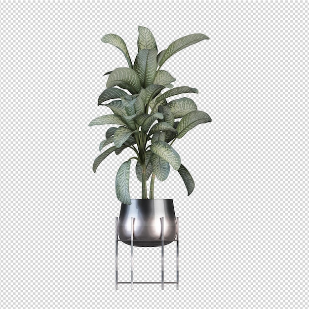 3d rendering nature object tree isolated