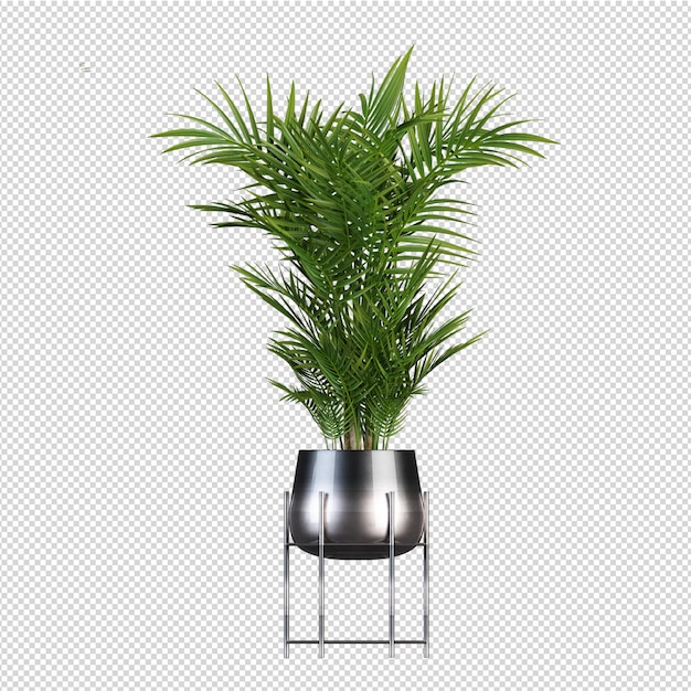 PSD rendering 3d natura oggetto albero isolato