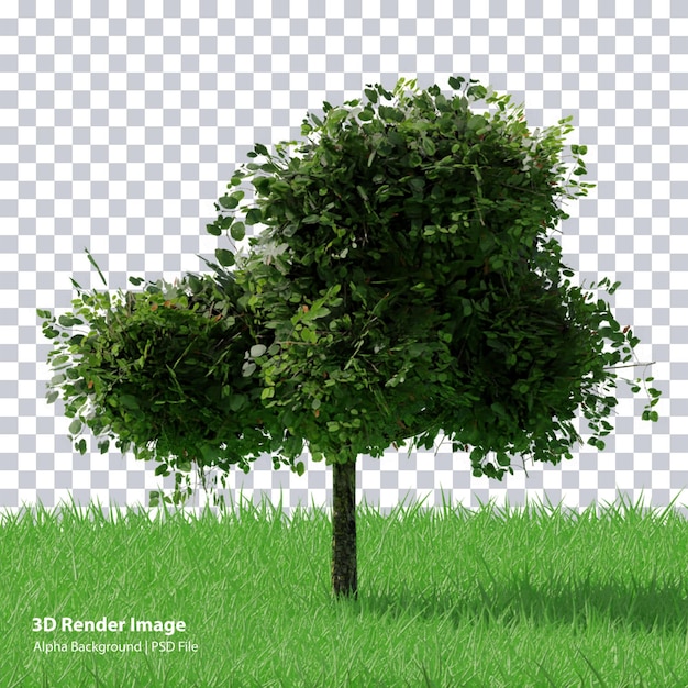 3d rendering nature object tree isolated