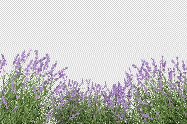 PSD rendering 3d del rendering di paesaggi naturali