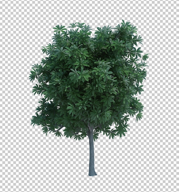 3D-rendering Natuur object boom geïsoleerd
