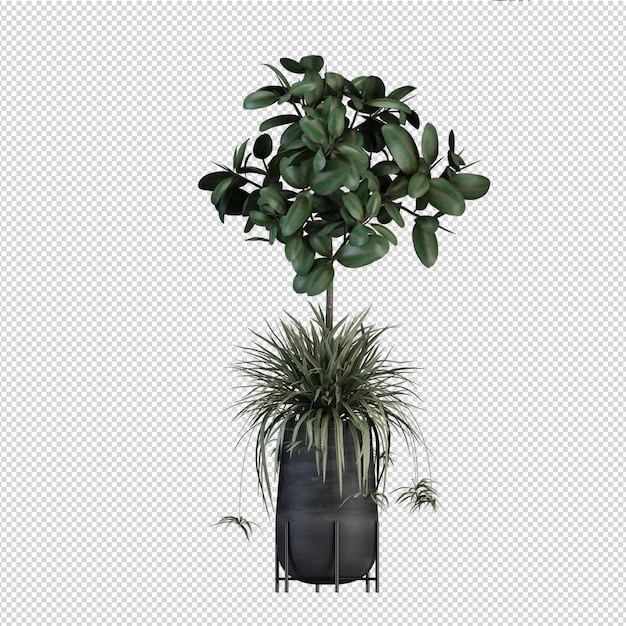 3D-rendering Natuur object boom geïsoleerd