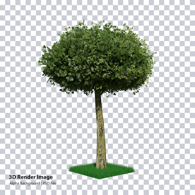 3d-rendering natuur object boom geïsoleerd