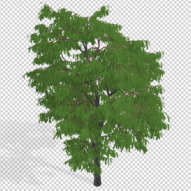 투명한 배경에서 분리된 녹색 잎과 가지가 있는 큰 나무의 3d 렌더링