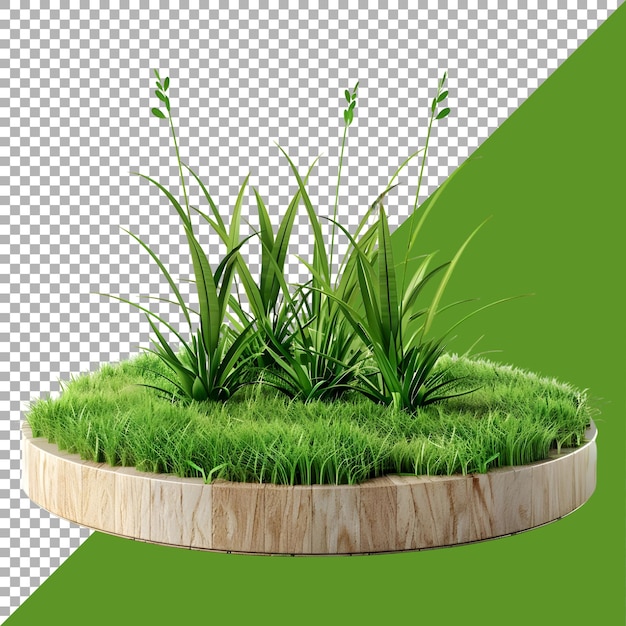 PSD 3d-рендерирование травы в форме круглого подиума на прозрачном фоне
