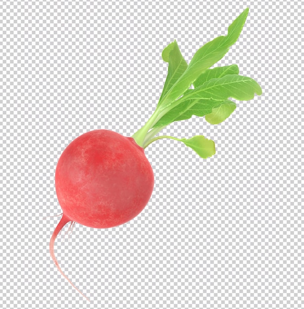 3d rendering of a red radish with a green leaves on it isolated on transparent background