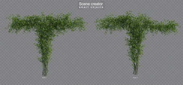 아케비 아 나무 장면 작성자의 3d 렌더링