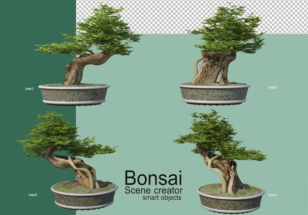 PSD 3d-рендеринг расположения деревьев бонсай