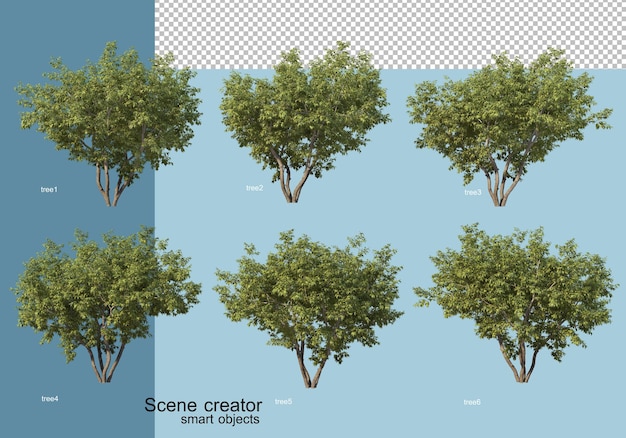 3d rendering of  arrangement of trees and flowers