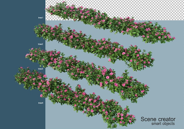 3d визуализация красивых растений в разных ракурсах изолированы