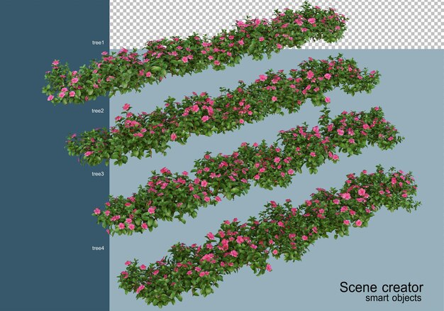 고립 된 다양 한 각도에서 아름 다운 식물의 3d 렌더링