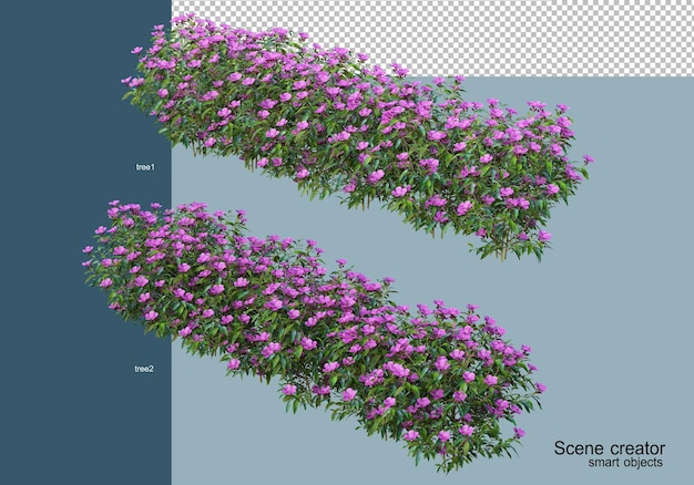 3d rendering of beautiful shrubs in various angles isolated