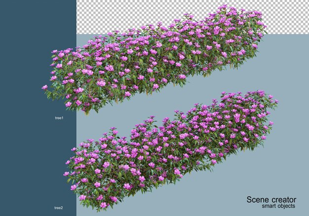 3d rendering of beautiful shrubs in various angles isolated
