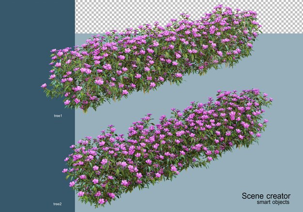 3d визуализация красивых кустарников в разных ракурсах изолированы