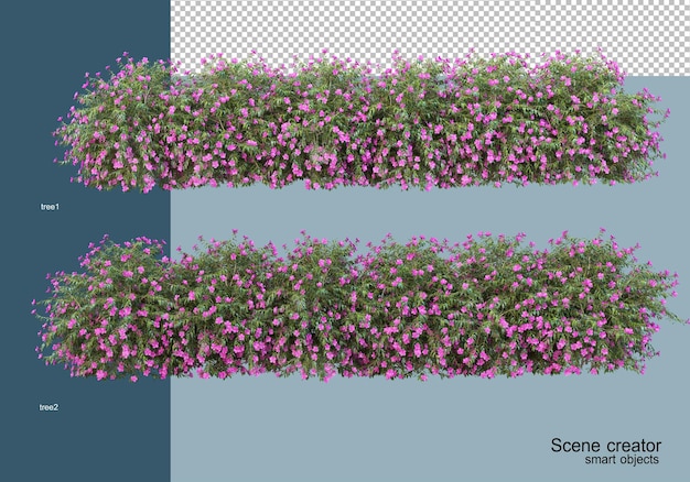 3d rendering of beautiful shrubs in various angles isolated