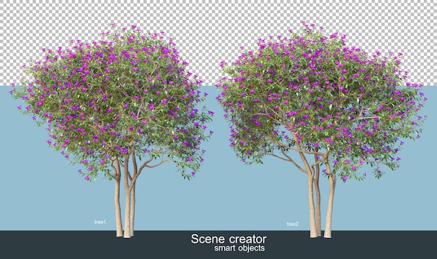 PSD 3d-рендеринг красивых деревьев под разными углами изолированы