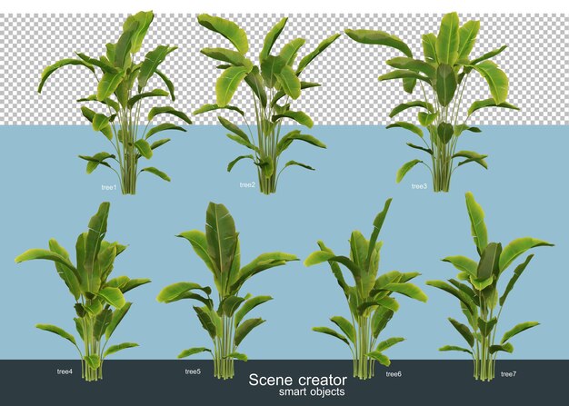 PSD 分離されたさまざまな角度で美しい木の3dレンダリング