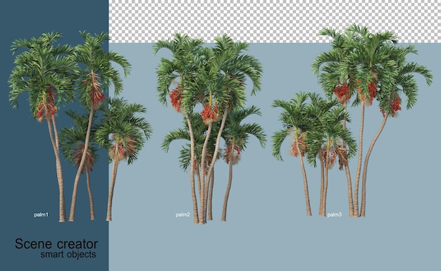 3d rendering of beautiful trees in various angles isolated