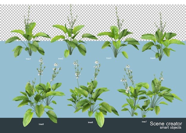 3d rendering of beautiful trees in various angles isolated