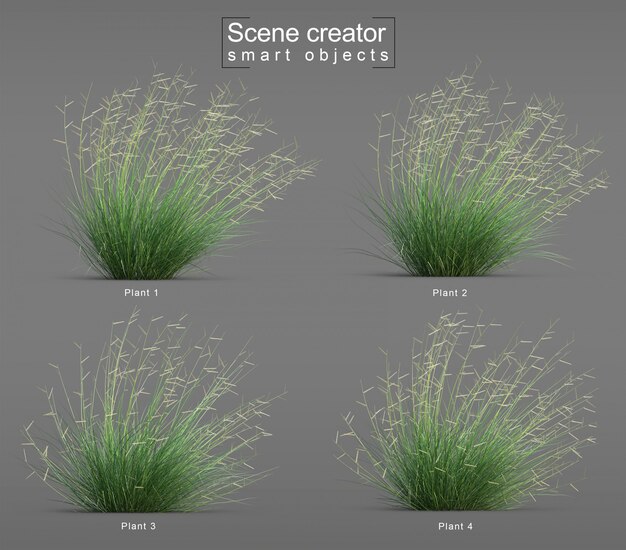 3d rendering of Blonde Ambition Blue grama grass blow scene creator