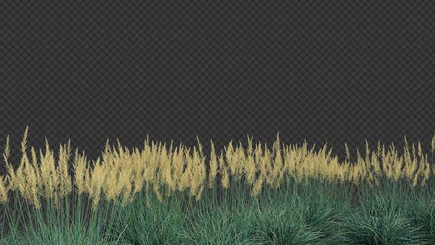 3d-рендеринг переднего плана boulder blue fescue grass