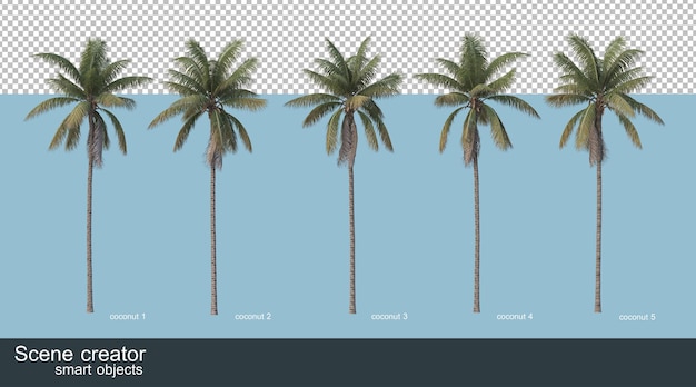 ココナッツの木とヤシの木の3dレンダリング