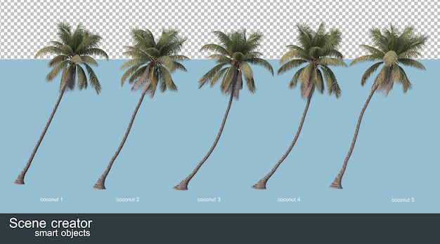 ココナッツの木とヤシの木の3dレンダリング