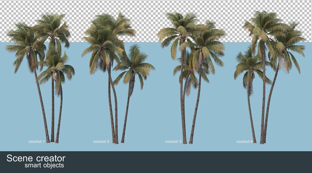 3d rendering of coconut trees and palm trees