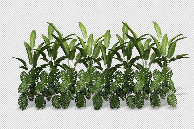 3d rendering of grass and shrub arrangements