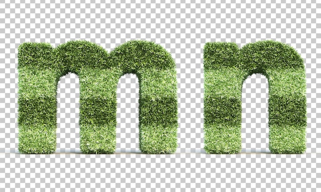 3D rendering of grass playing field alphabet m and alphabet n