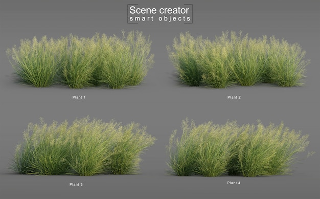 インドのライスグラスの3 dレンダリング