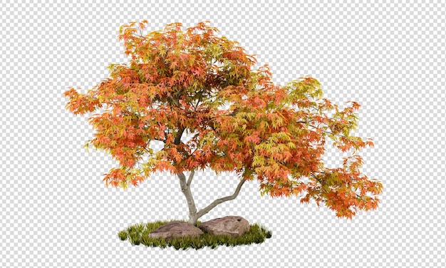 고립된 나무의 3d 렌더링
