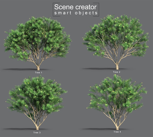 Thevetia Peruviana 나무 장면 작성자의 3d 렌더링