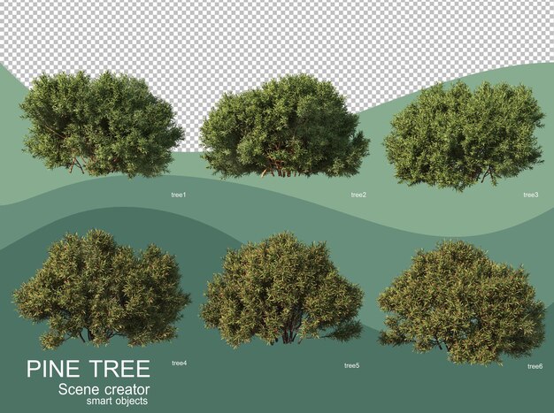さまざまな松の配置の3dレンダリング