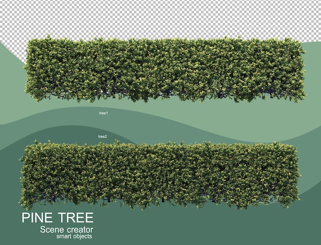 3d rendering of various pine arrangements