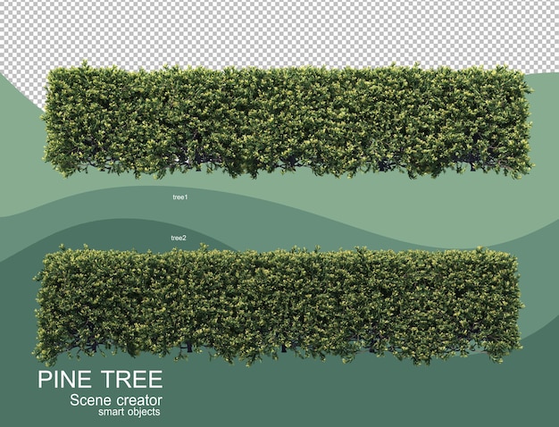 さまざまな松の配置の3dレンダリング