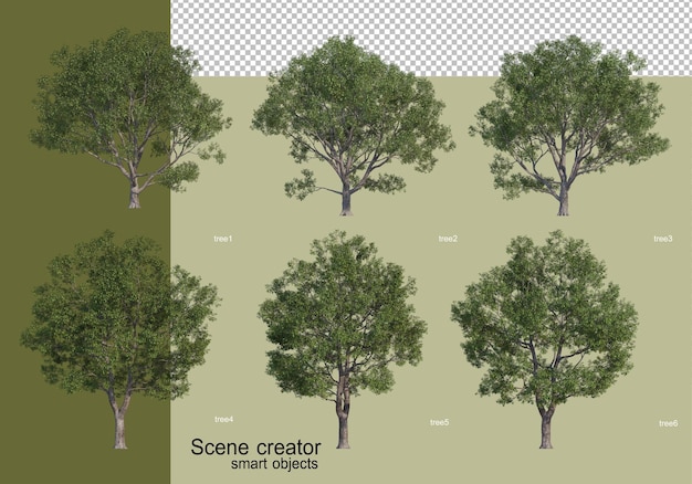 고립 된 다양 한 나무 디자인의 3d 렌더링