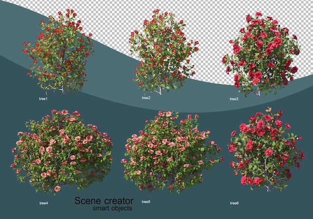 다양한 나무 디자인의 3d 렌더링