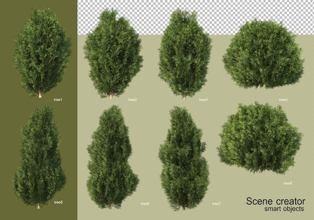 3d-рендеринг различных конструкций деревьев